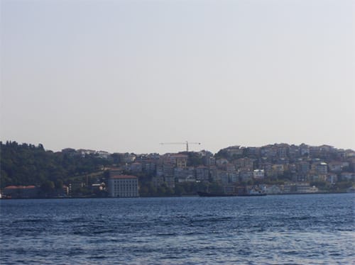 Kule Vinçler
