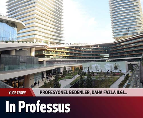 İn Professus
