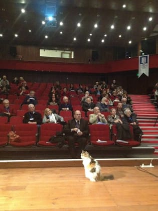 Mimarlar Odası İstanbul Büyükkent Şubesi Genel Kurulu / Arif Atılgan