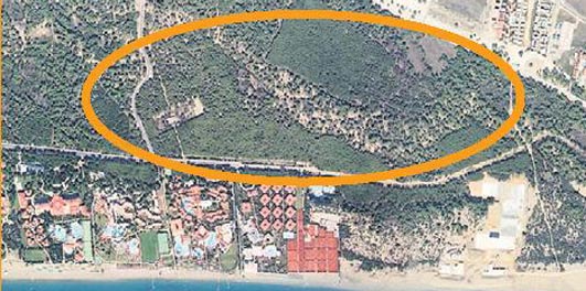 Çevreciler isyanda: 110 golf sahası yolda