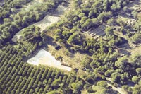 Belek’te ‘kaç ağaç kesildi’ tartışması