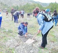 5 yılda 60 bin hektar alan ağaçlandırılacak
