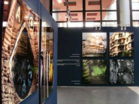 Gaudi ve Mumpuo, ışığın sesi (12 Aralık 2007-20 Ocak 2008)