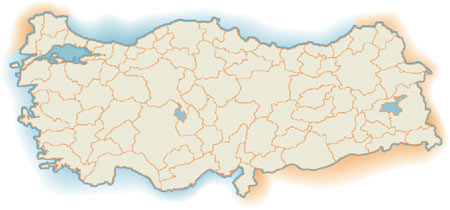 Kıyılar tehlikede
