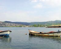 Sapanca Gölü, kanser alarmı veriyor