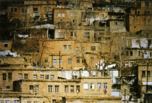 Bitlis, tarihi güzelliklerini kaybediyor