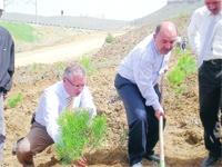Savaş cephesi Milli Park olma yolunda