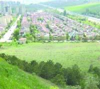 Ali Rıza Bey Ormanı’nda yine katliam var iddiası