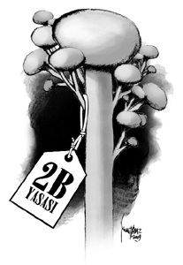 2B Yasası ormanlarımızın idam fermanı