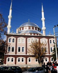 cami.jpg