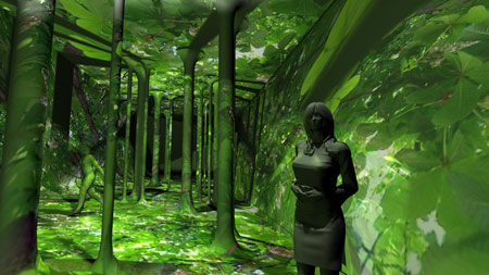 forest_rgb.jpg
