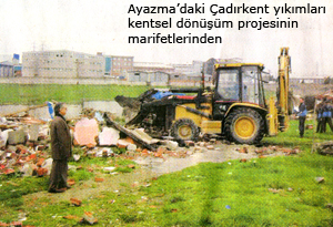 19222_21.jpg