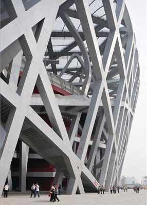 nest-5.jpg