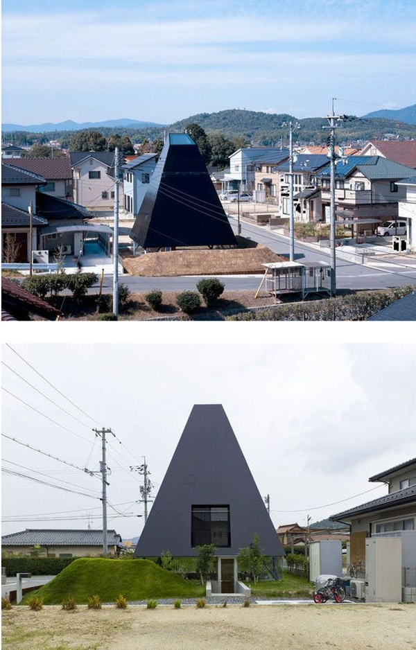 41.jpg