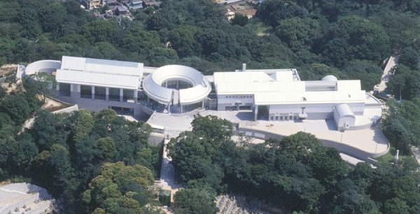 51.jpg