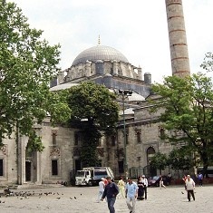 cami.jpg