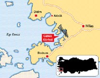 gulluk-korfezyne-kopru.jpeg