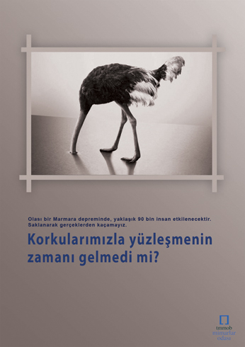m2.jpg