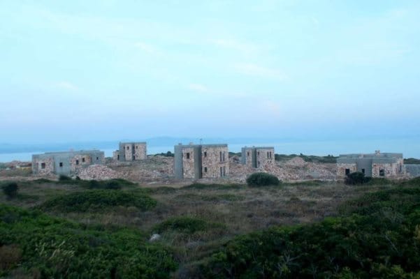 ada-1 (8)