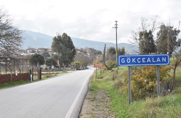 gokcealan1