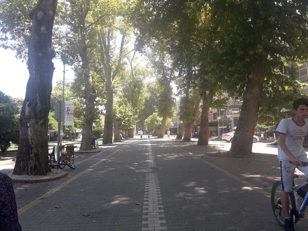 YALOVA YAVAŞ ŞEHİR OLABİLİR Mİ? / Arif Atılgan