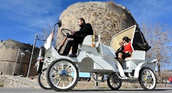 hayvan-1 (2)