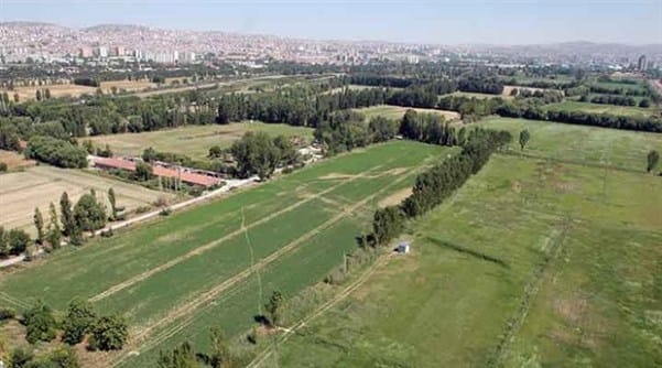 AOÇ’ta talan ısrarı