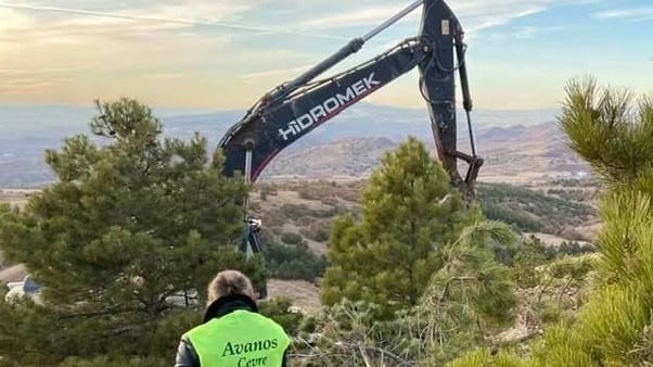Kanadalı şirket, Avanos’ta ağaçları keserek altın arama çalışmaları başlattı