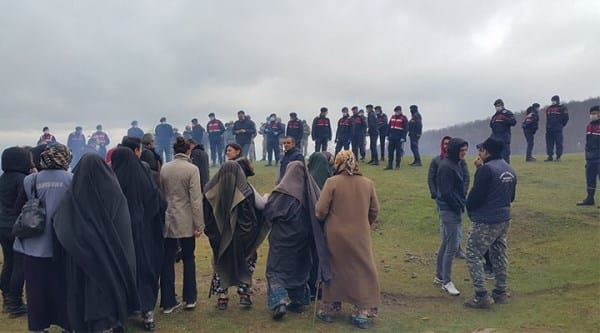Ağaç katliamı seferberliği!