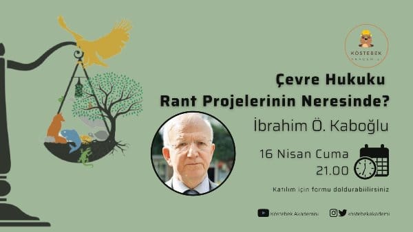 Çevre Hukuku Rant Projelerinin Neresinde?