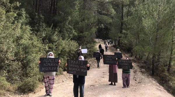 Şehirler farklı mücadele aynı