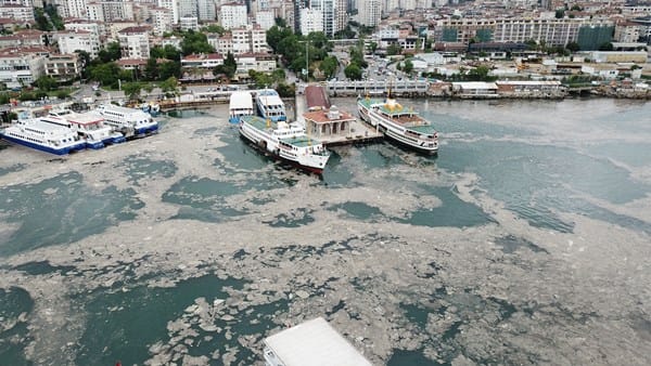 Marmara’da deniz salyasında bu ölçekle hiç karşılaşmadık… / Prof. Dr. Salihoğlu