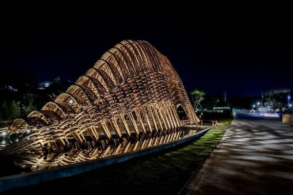 BAMBU PAVYON…