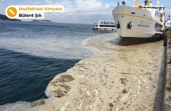 Marmara’nın ölümü: İstanbul kolera salgınına hazır mı?