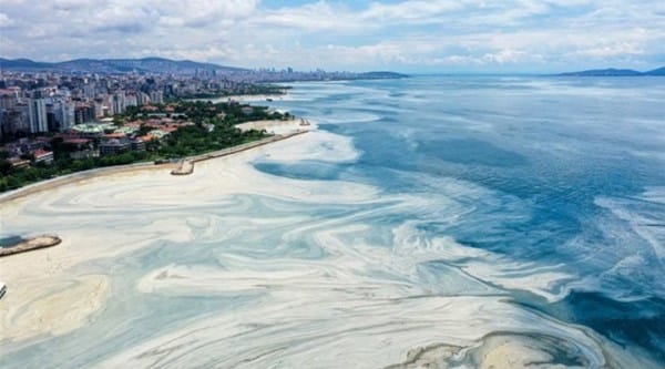 ODTÜ’den müsilaj incelemesi: Müsilaj oksijeni 2,5-3 saatte tüketti, Güney Marmara’da risk biraz daha fazla