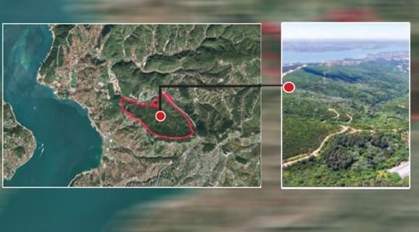 Orman arazisini betona boğacaklar