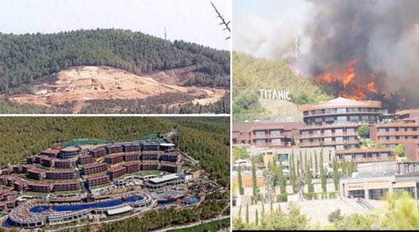 Bodrum’da 13 yıl önce çıkan yangında yanan ağaçların yerine dikilen otel, bugün çıkan yangın nedeniyle tahliye edildi!