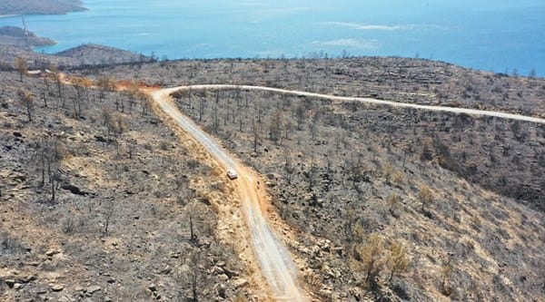 Bodrum ve Milas’ın yeşili yangına kurban gitti