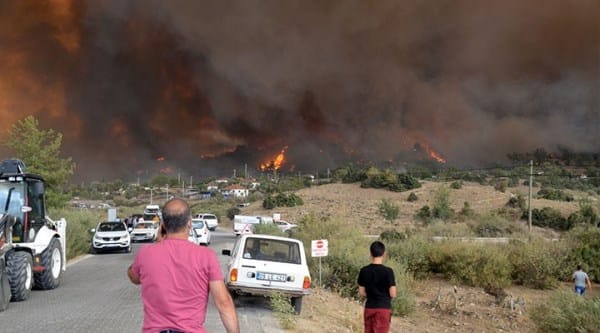 Meslek odalarından tepki: Siyasi iktidar yangınları seyrediyor!