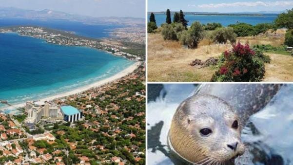 Çeşme Yarımadası’nın yüzde 55’i talan edilecek: Marinalar, lüks oteller, golf sahaları..