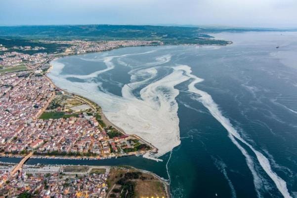 Marmara Denizi ve Adalar “Özel Çevre Koruma Bölgesi” ilan edildi