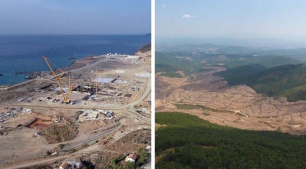Yok ettikleri ormanı koruma sözü verdiler