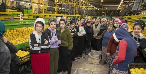 Kadın dostu kentler mümkün: ‘Öteki Mersin’ örneği