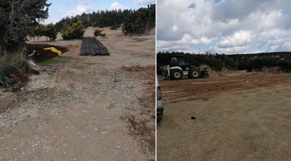 Çeşme’de ‘beach club’ için asırlık ağaçları kestiler