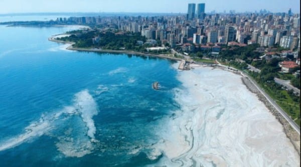 Marmara Denizi el birliğiyle yok edildi