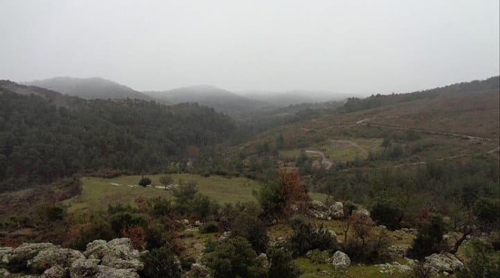 Kararlar şirketi durduramıyor