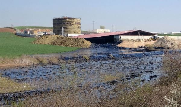 Edirne’de çevre katliamı: Tonlarca zift çevreye yayılıyor
