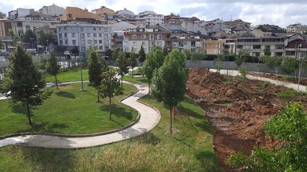 AKP’li belediye İBB’ye yazı gönderdi: Ağaçları sökün