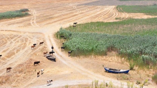 Taşıma suyuyla göl kurtarılmaz