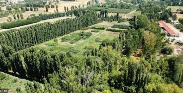 Mimarlar, Atatürk Orman Çiftliği’ni “Beştepe Millet Ormanı” yapan ihaleyi yargıya taşıdı